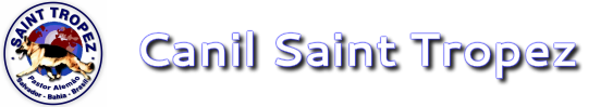 Canil Saint Tropez - Pastor Alem&atilde;o Salvador-Bahia